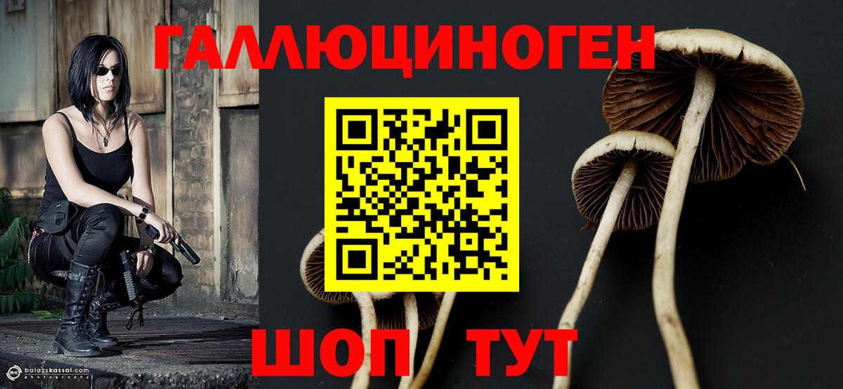 Коломна  Псилоцибиновые грибы Psilocybine cubensis  даркнет сайт  Вход с VPN  Псилоцибиновые грибы мухоморы 
